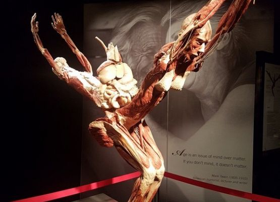 Wyjazdowy tydzień IIIa i VIIIa grafika