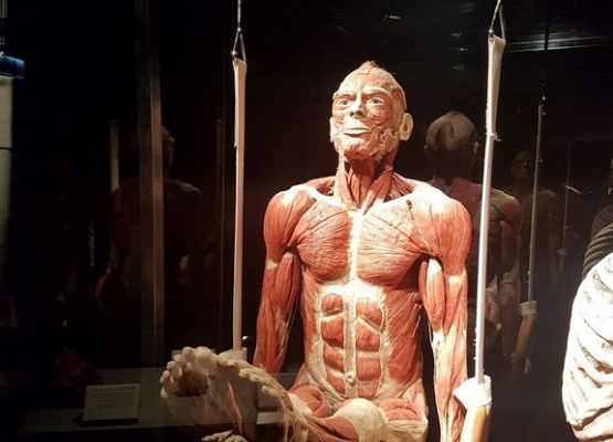 Wyjazdowy tydzień IIIa i VIIIa grafika