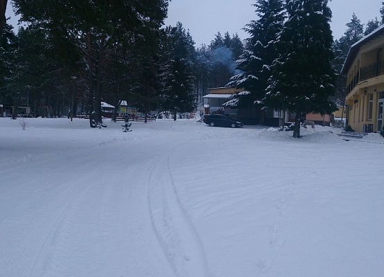 Ostatni taki grafika