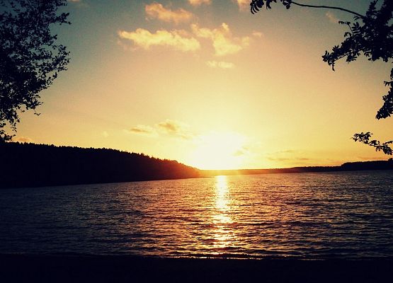 Ostatni taki grafika