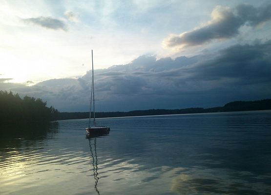 Ostatni taki grafika