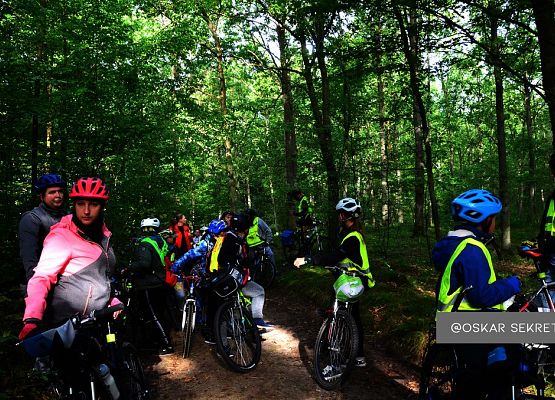 Spacerkiem albo na rowerze grafika