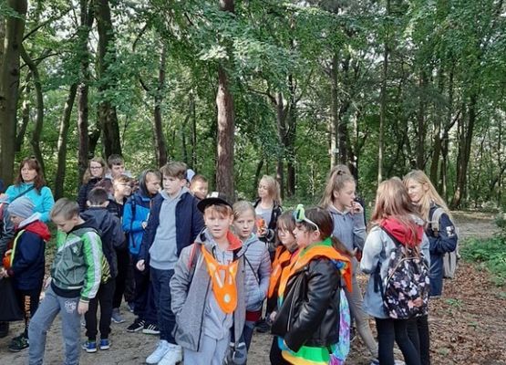 Spacerkiem albo na rowerze grafika