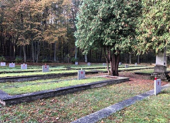 Szkoła pamięta grafika