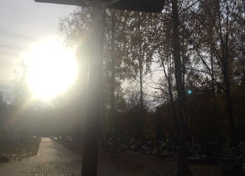 Szkoła pamięta grafika