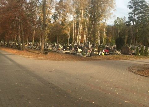 Szkoła pamięta grafika