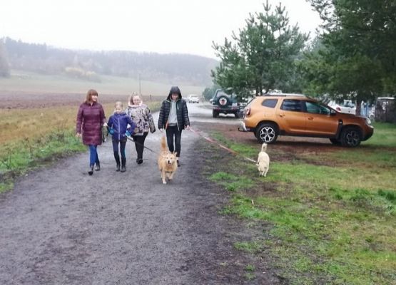 „Bo na tym pieskim świecie to się bardzo liczy, by iść na sześciu nogach i na jednej smyczy” grafika