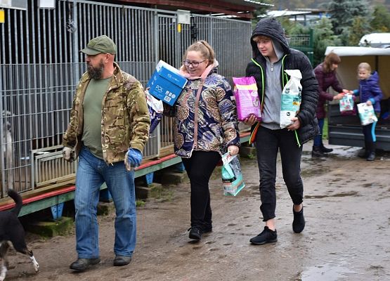 „Bo na tym pieskim świecie to się bardzo liczy, by iść na sześciu nogach i na jednej smyczy” grafika