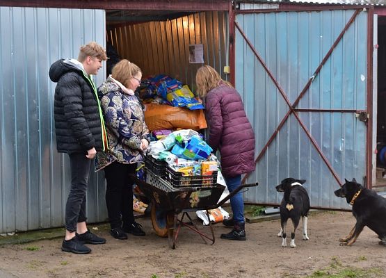 „Bo na tym pieskim świecie to się bardzo liczy, by iść na sześciu nogach i na jednej smyczy” grafika