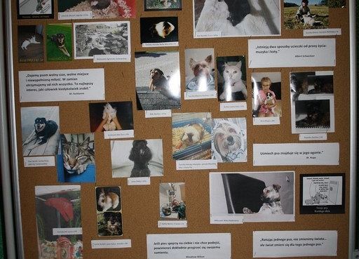 „Bo na tym pieskim świecie to się bardzo liczy, by iść na sześciu nogach i na jednej smyczy” grafika