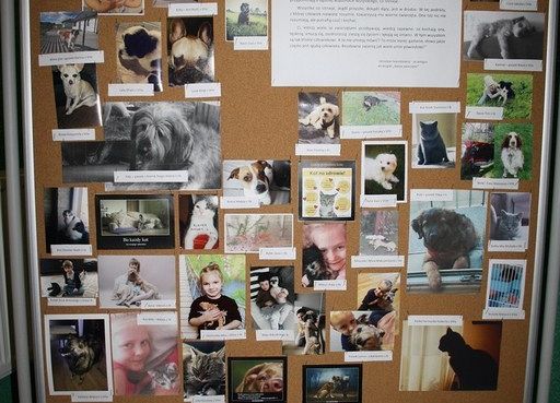 „Bo na tym pieskim świecie to się bardzo liczy, by iść na sześciu nogach i na jednej smyczy” grafika