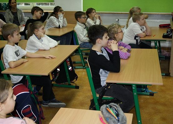 O wiewiórkach i borsukach słów kilka grafika