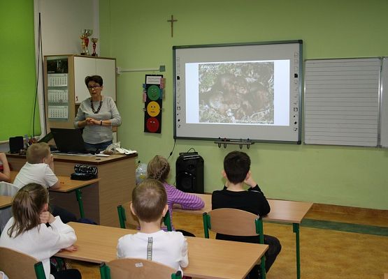 O wiewiórkach i borsukach słów kilka grafika