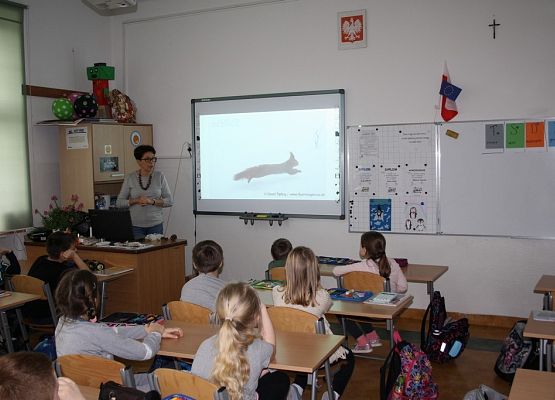 O wiewiórkach i borsukach słów kilka grafika