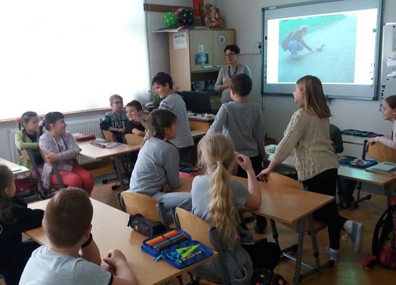 O wiewiórkach i borsukach słów kilka grafika