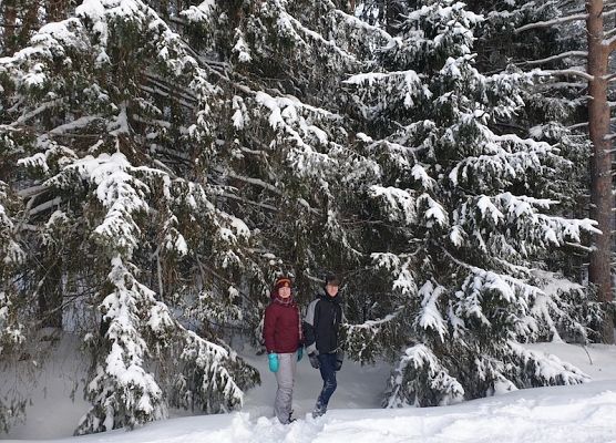 Projekt Erasmus+ w Finlandii grafika