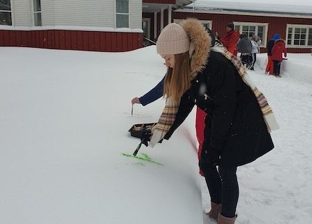 Projekt Erasmus+ w Finlandii grafika