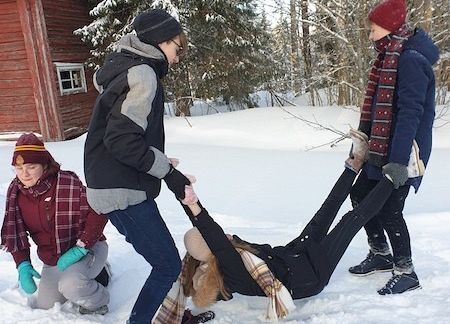 Projekt Erasmus+ w Finlandii grafika