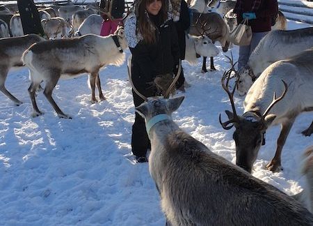 Projekt Erasmus+ w Finlandii grafika