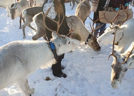 Projekt Erasmus+ w Finlandii grafika