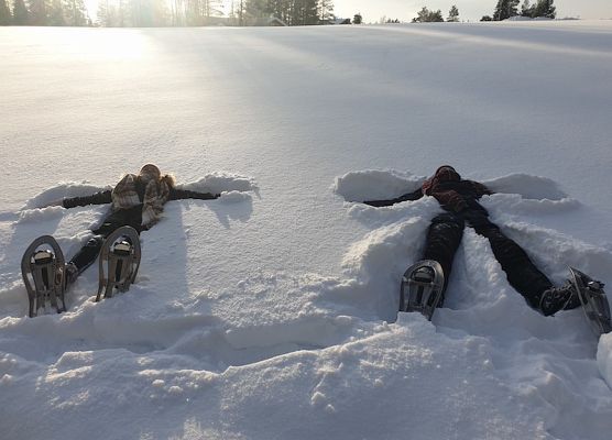 Projekt Erasmus+ w Finlandii grafika