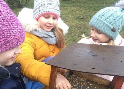 Dokarmiamy ptaki! grafika