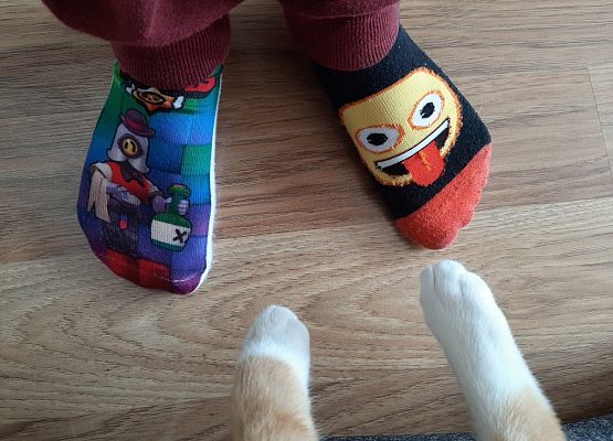 Klasa Ia kreatywnie i pożytecznie grafika