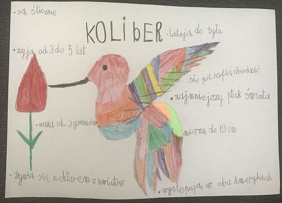 Klasa Ia kreatywnie i pożytecznie grafika