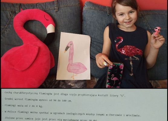 Klasa Ia kreatywnie i pożytecznie grafika