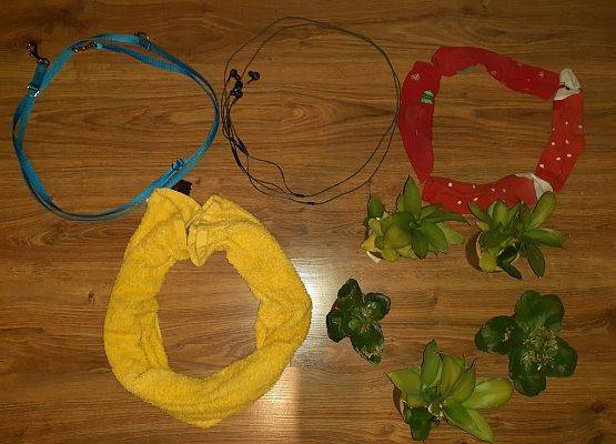 To miał być rok olimpijski! grafika