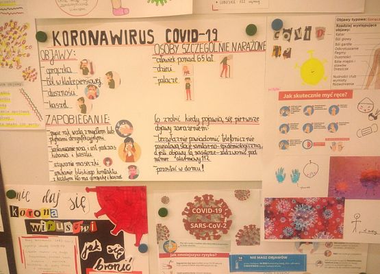 Warsztaty dotyczące koronawirusa grafika