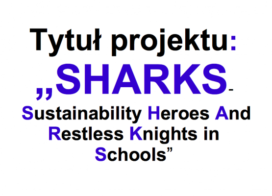 Nasz nowy projekt ERASMUS+ grafika