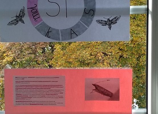 23 października obchodziliśmy Dzień Mola grafika