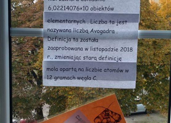 23 października obchodziliśmy Dzień Mola grafika