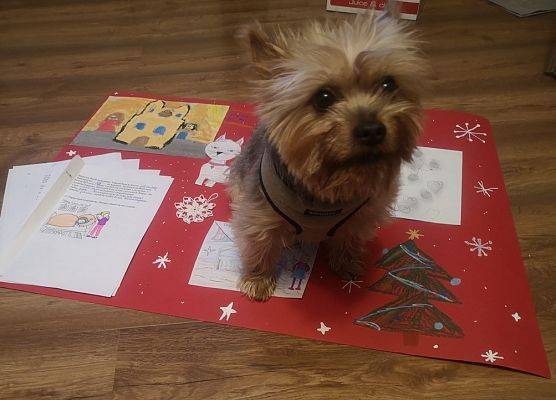 Lekturowe lapbooki klasy IIIb grafika