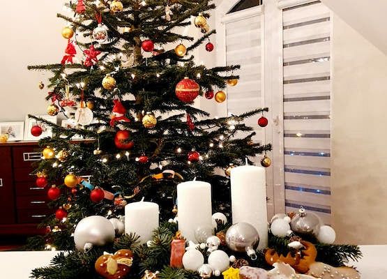 Wyniki konkursu PIERNICZKOWEGO grafika