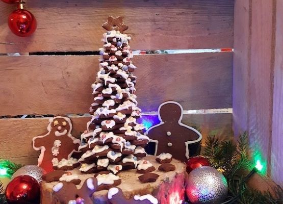 Wyniki konkursu PIERNICZKOWEGO grafika