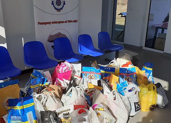 Podsumowanie akcji SU grafika