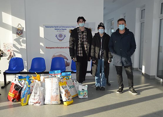 Podsumowanie akcji SU grafika