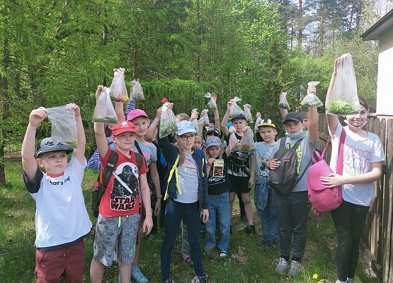 Wycieczka do lasu grafika