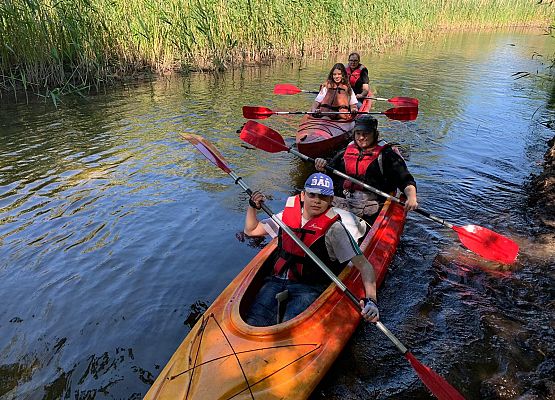 Spływ kajakowy rzeką Piaśnicą grafika
