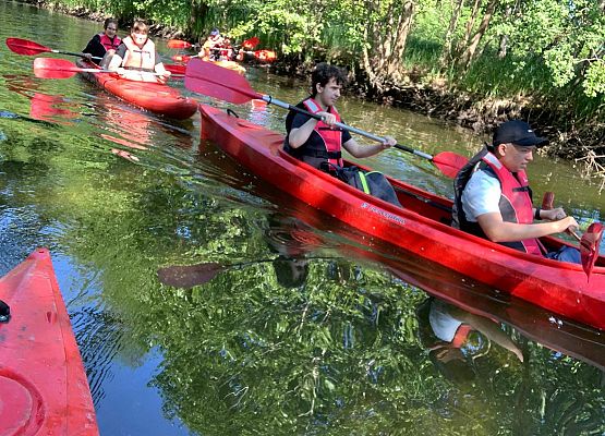 Spływ kajakowy rzeką Piaśnicą grafika