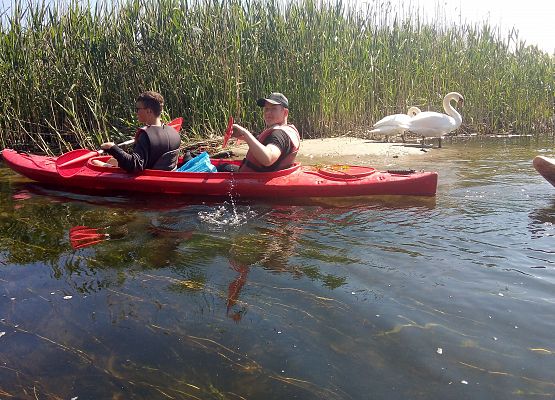 Kajakowa przygoda klasy 8e grafika