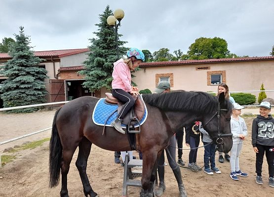 Dzień w siodle grafika