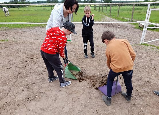 Dzień w siodle grafika