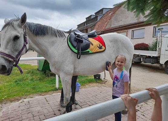 Dzień w siodle grafika