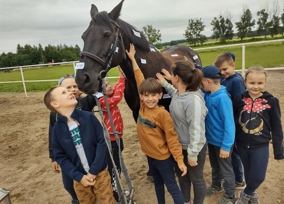 Dzień w siodle grafika