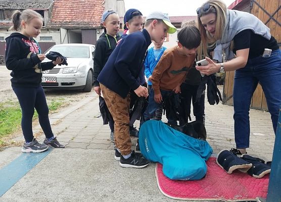 Dzień w siodle grafika