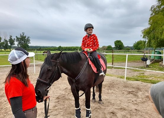 Dzień w siodle grafika