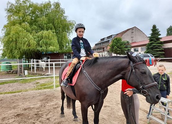 Dzień w siodle grafika